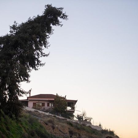 Villa Eliki Εξωτερικό φωτογραφία
